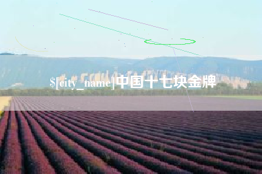 京山中国十七块金牌