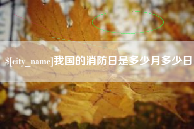 京山我国的消防日是多少月多少日
