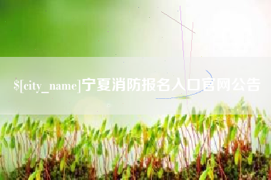 京山宁夏消防报名入口官网公告