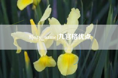 京山九宫格优点