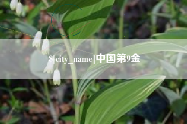 京山中国第9金