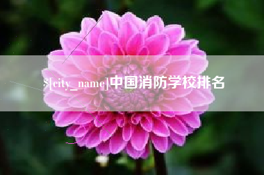 京山中国消防学校排名