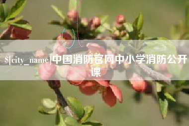京山中国消防官网中小学消防公开课