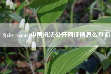 京山中国执法公开网征信怎么查询