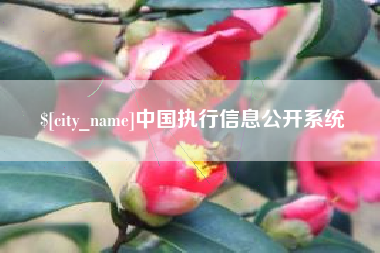 京山中国执行信息公开系统