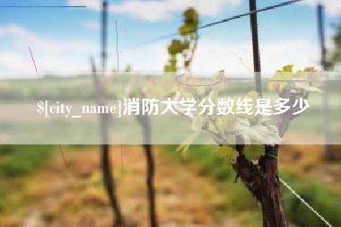 京山消防大学分数线是多少
