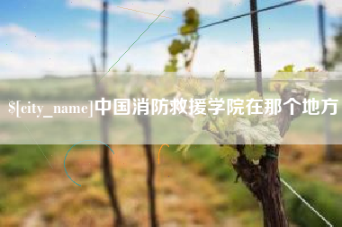京山中国消防救援学院在那个地方