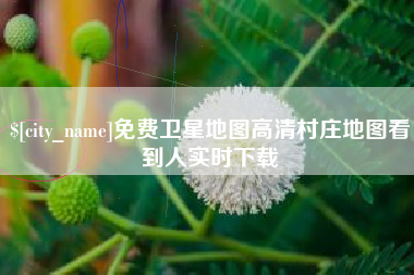 京山免费卫星地图高清村庄地图看到人实时下载