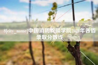 京山中国消防救援学院2020年各省录取分数线