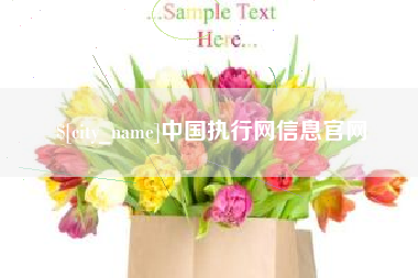 京山中国执行网信息官网
