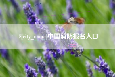 京山中国消防报名入口