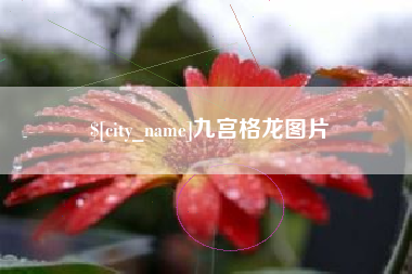 京山九宫格龙图片