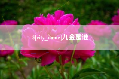 京山九金是谁