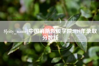 京山中国消防救援学院2019年录取分数线
