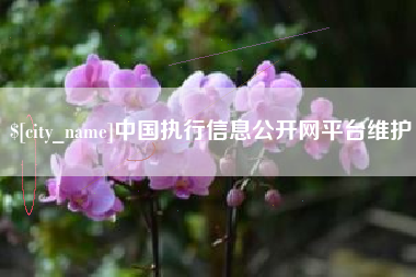 京山中国执行信息公开网平台维护