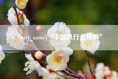 京山“中国执行公开网”
