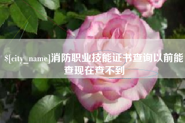 京山消防职业技能证书查询以前能查现在查不到