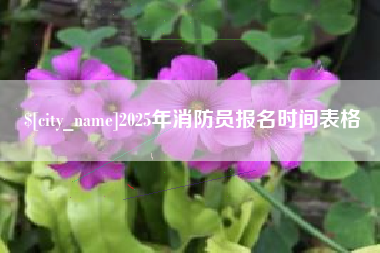京山2025年消防员报名时间表格
