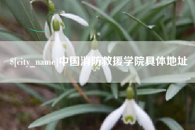 京山中国消防救援学院具体地址