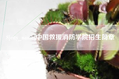 京山中国救援消防学院招生简章