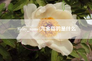 京山九金指的是什么