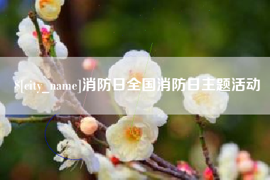 京山消防日全国消防日主题活动
