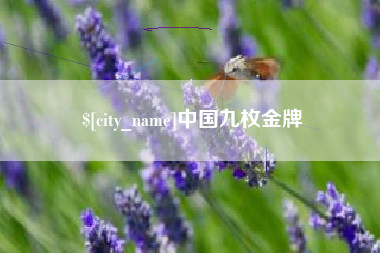 京山中国九枚金牌