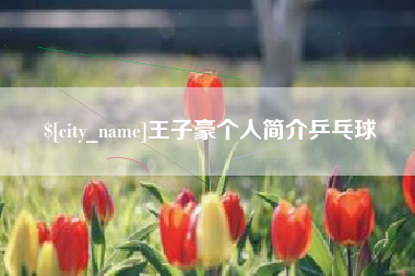 京山王子豪个人简介乒乓球
