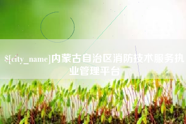京山内蒙古自治区消防技术服务执业管理平台
