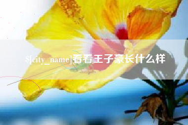 京山看看王子豪长什么样