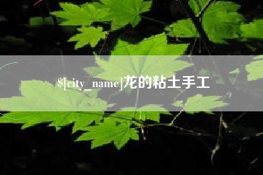 京山龙的粘土手工