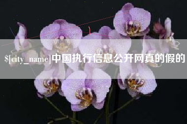 京山中国执行信息公开网真的假的