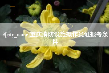 京山重庆消防设施操作员证报考条件