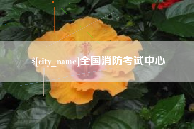京山全国消防考试中心