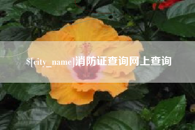 京山消防证查询网上查询