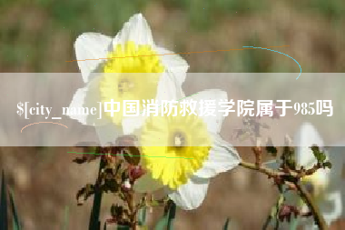 京山中国消防救援学院属于985吗