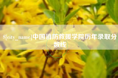 京山中国消防救援学院历年录取分数线