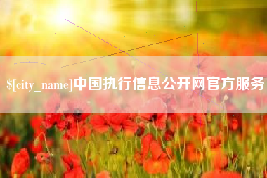 京山中国执行信息公开网官方服务