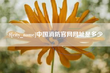 京山中国消防官网网址是多少