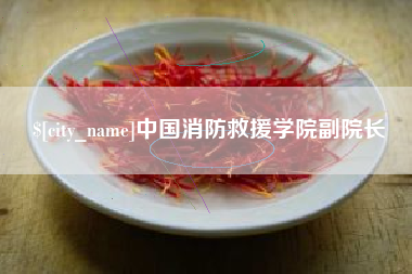 京山中国消防救援学院副院长