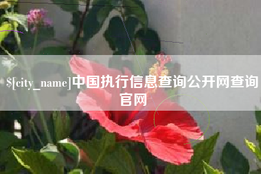 京山中国执行信息查询公开网查询官网