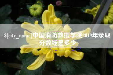京山中国消防救援学院2019年录取分数线是多少