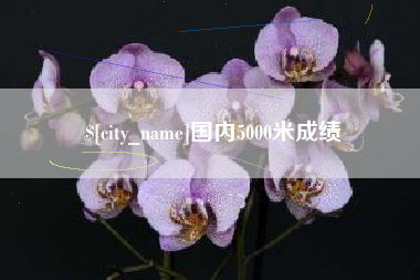 京山国内5000米成绩