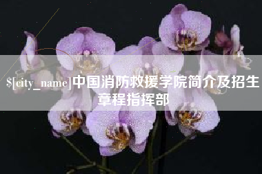 京山中国消防救援学院简介及招生章程指挥部
