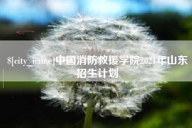京山中国消防救援学院2021年山东招生计划