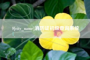京山消防证初级查询系统