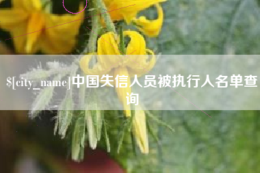 京山中国失信人员被执行人名单查询