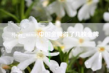 京山中国金牌得了几枚金牌
