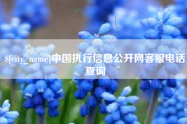 京山中国执行信息公开网客服电话查询