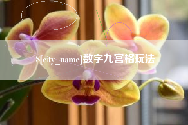 京山数字九宫格玩法